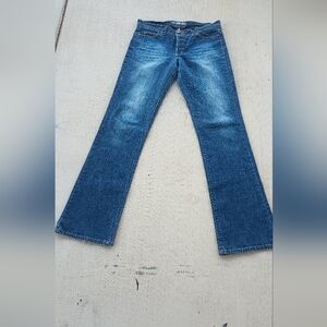 Y2K Joe's Jeans Low Rise Button Fly 28